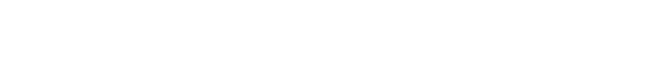 CLEANmaxx Logo